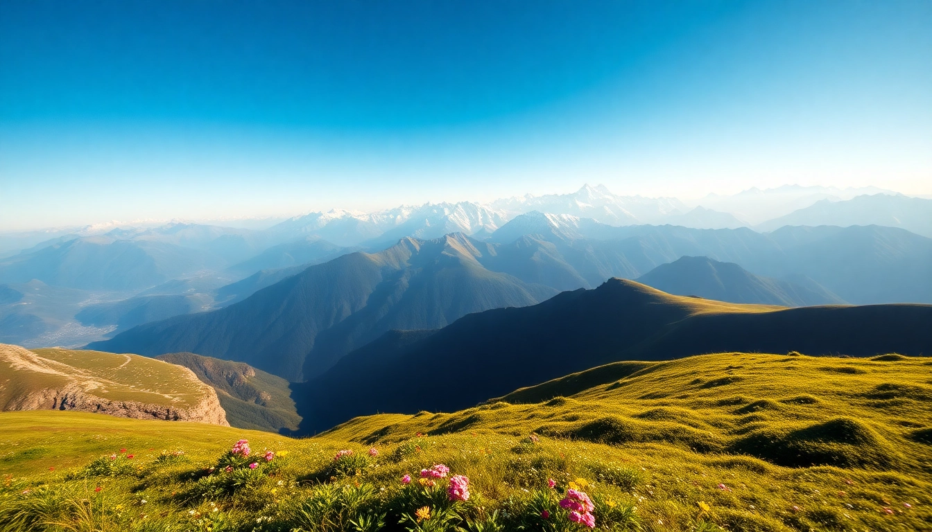 Stunning view from the Sandakphu trek showcasing snow-capped mountains and vibrant meadows.