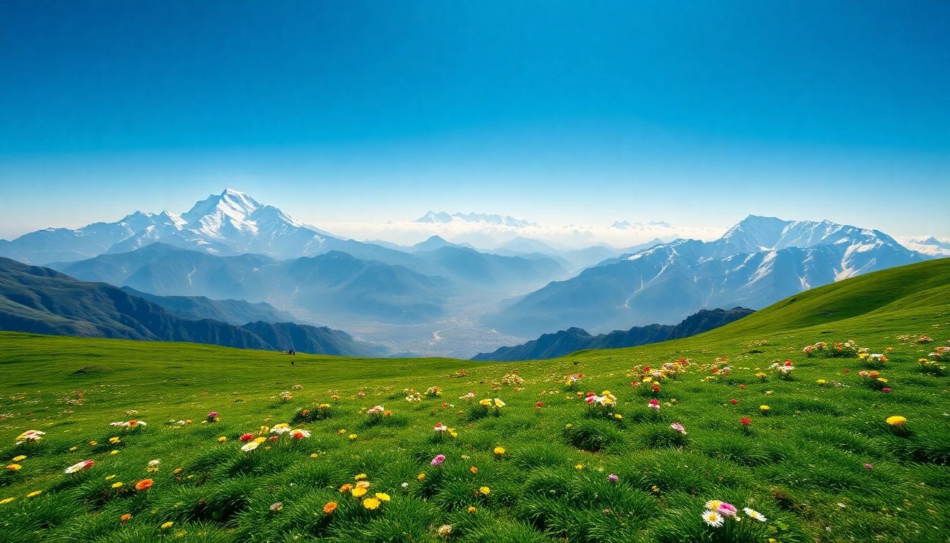 Stunning view from the Sandakphu trek showcasing snow-capped mountains and vibrant meadows. related image